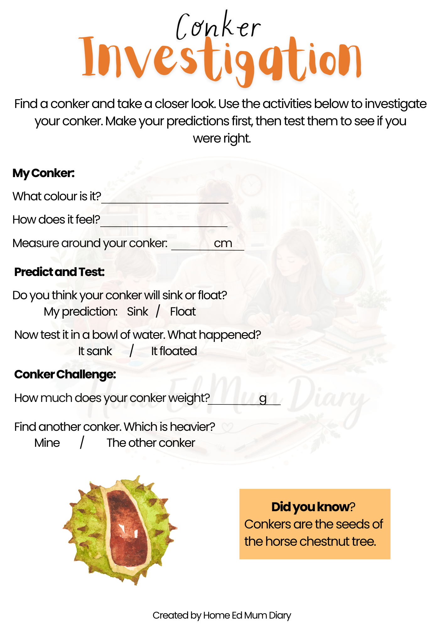 Autumn Workbook for Home Educated Children  PDF Download