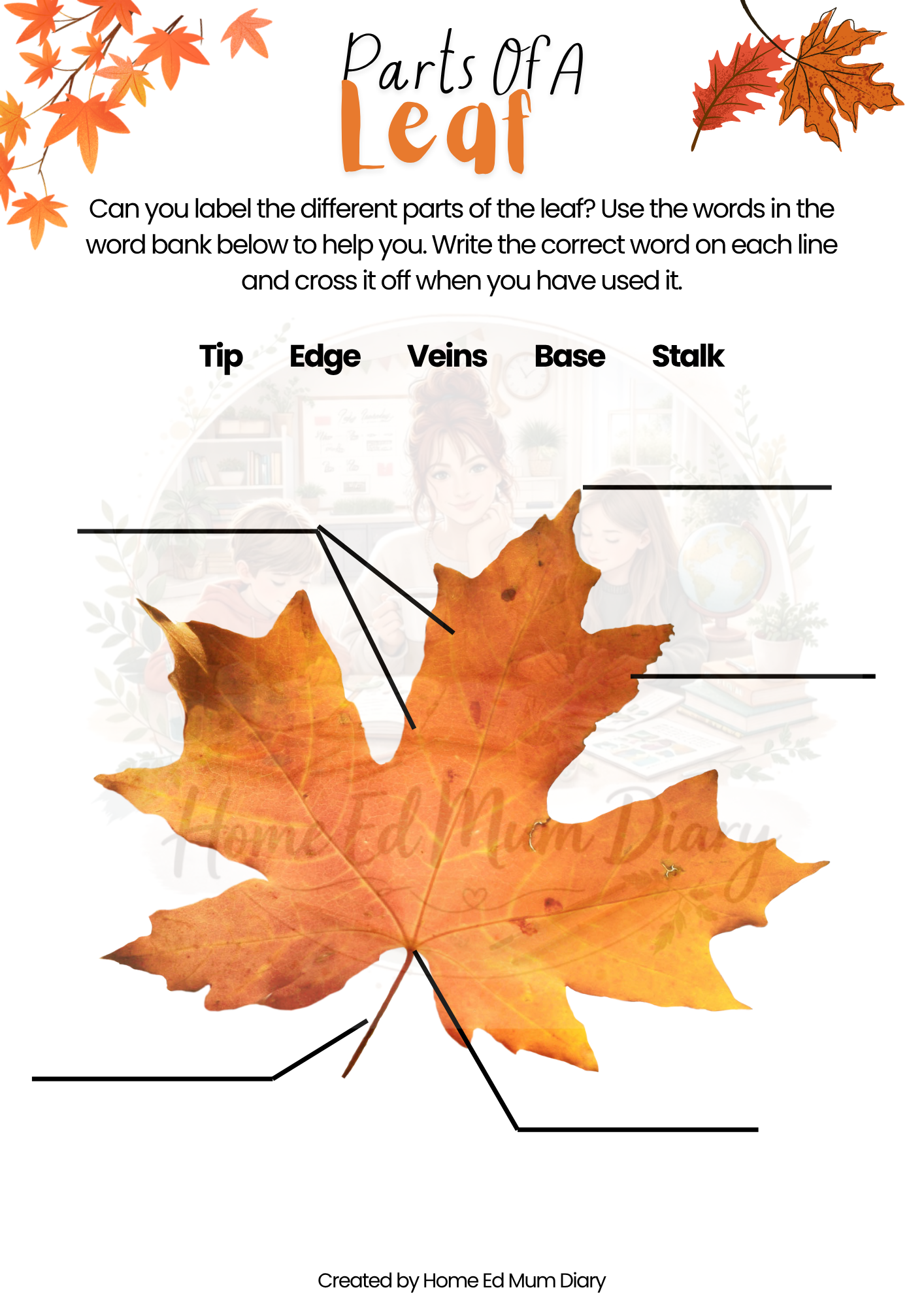 Autumn Workbook for Home Educated Children  PDF Download