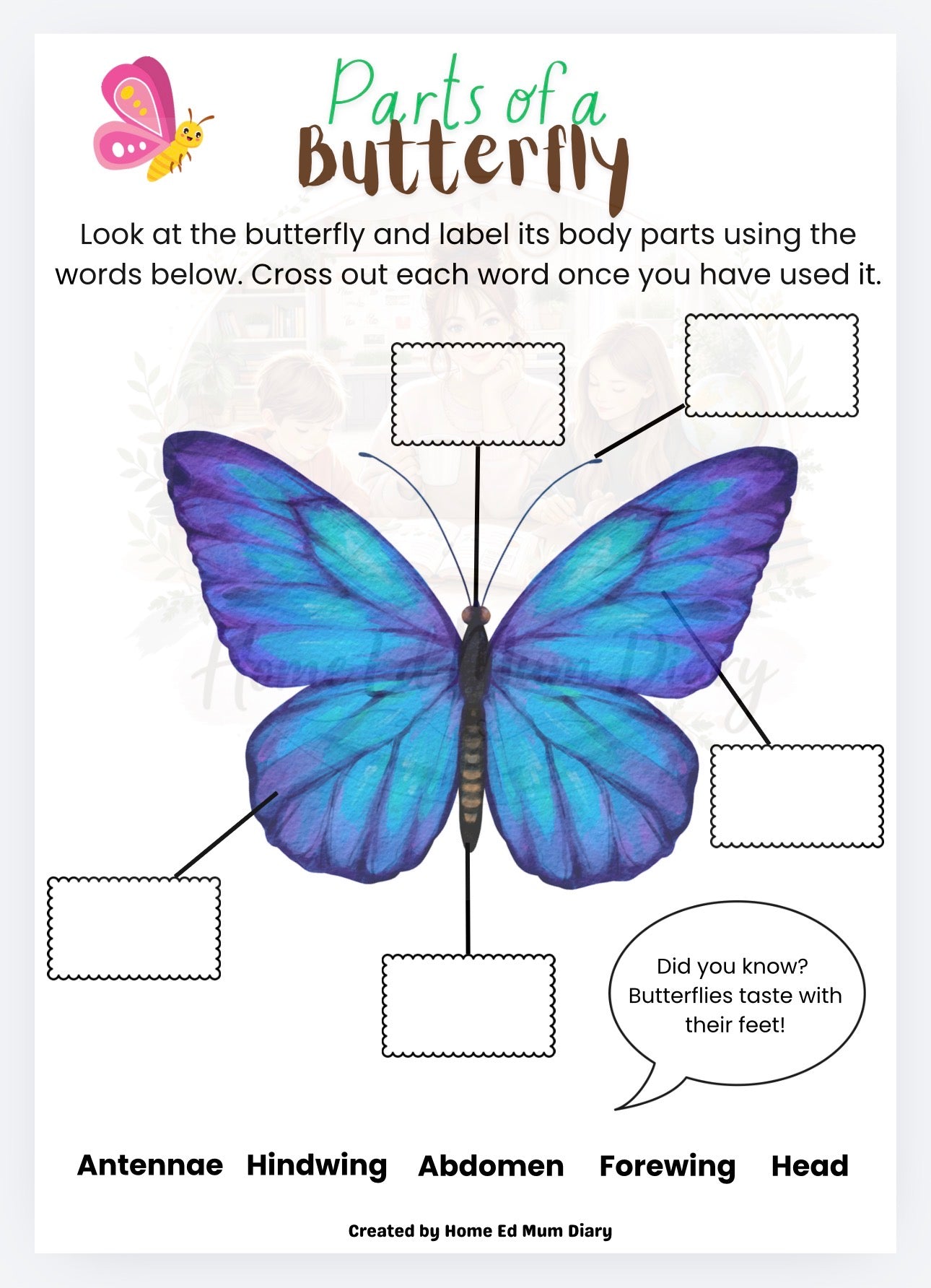 A Bug's Life - Minibeast Workbook  (PDF Download)